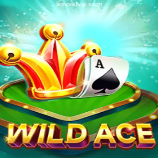 Exploring WildAce: An Adventure in Online Casino Gaming